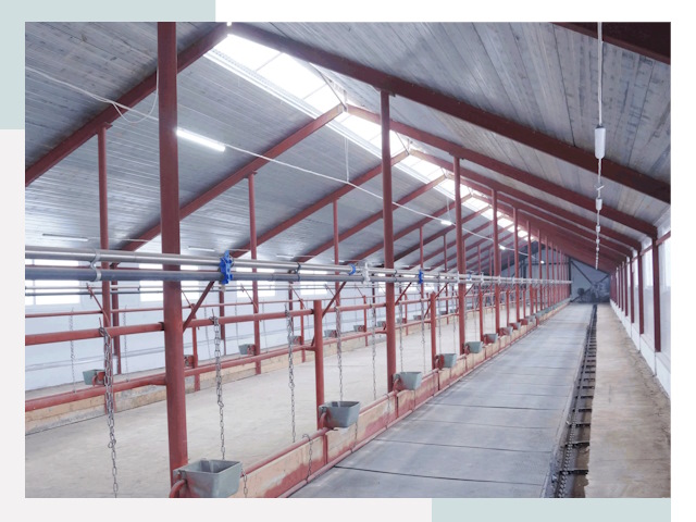 Строительство коровников в Энгельс от 640 руб.