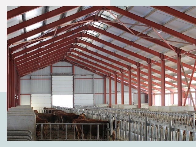 Строительство коровников в Энгельс