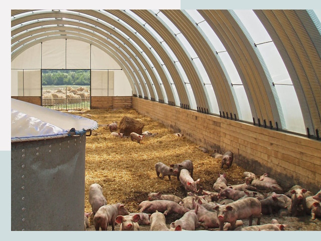 Строительство свинарников в Энгельс