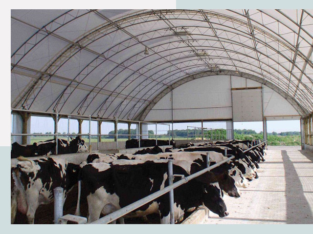 Тентовые коровники в Энгельс